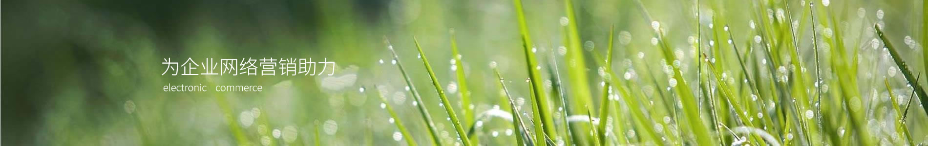 ڻƼ޹˾